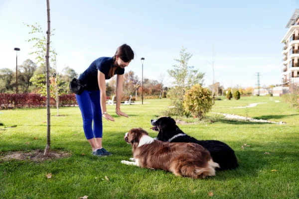 Cosa può fare per noi l'etologia canina?